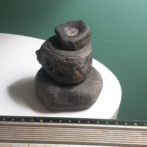 Jurassic ichthyosaur bone