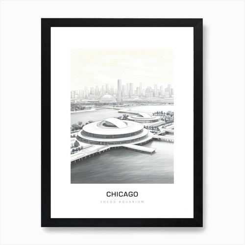 Shedd aquarium chicago - shedd,