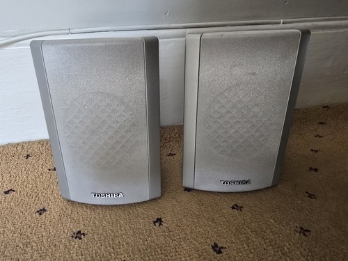 Toshiba v19 surround sound - toshiba,