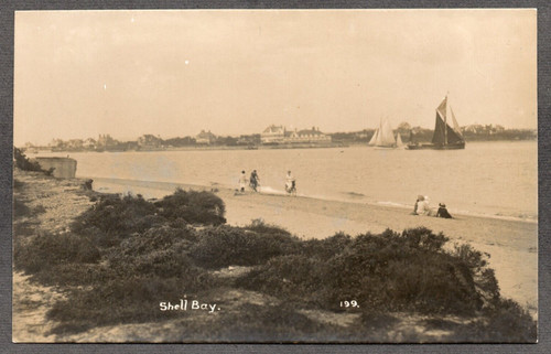 Postcard shell bay - shell,