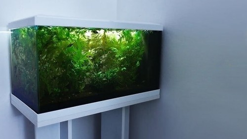 Brand new fish tank - brand, **