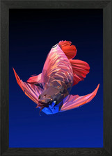 Arowana fish framed wall - arowana, art
