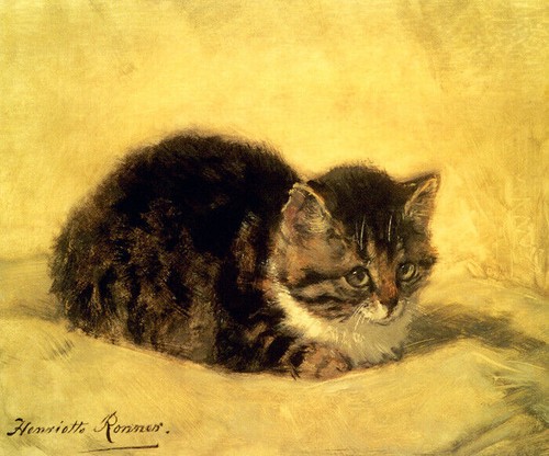 The parson kitten cat - the, parson's