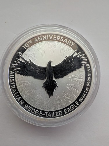 2024 australian wedge tailed - australian, wedge-tailed
