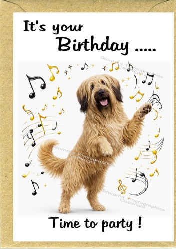 Briard dog birthday card x - briard,