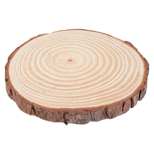 Garden stepping stones outdoor - garden,