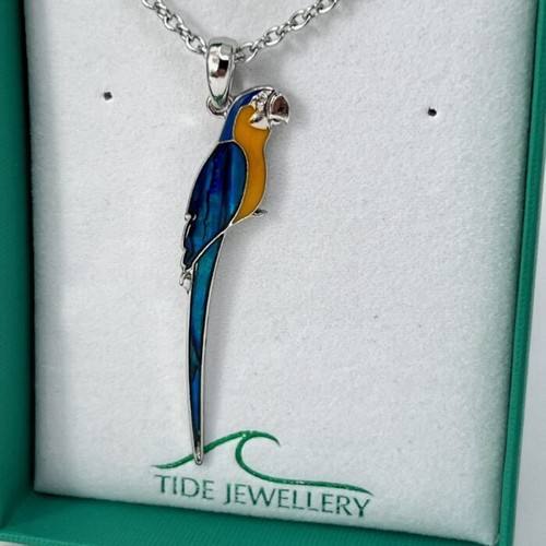 Macaw parrot 50mm paua shell - 50mm,