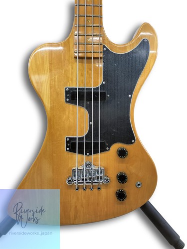 Gibson usa standard - usa,