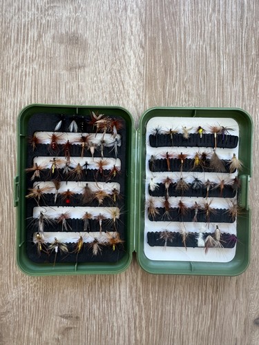 Fly box with dry flies