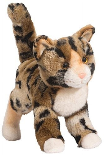 Douglas tashette bengal cat - tashette,