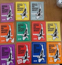 RARE The Magazine of The