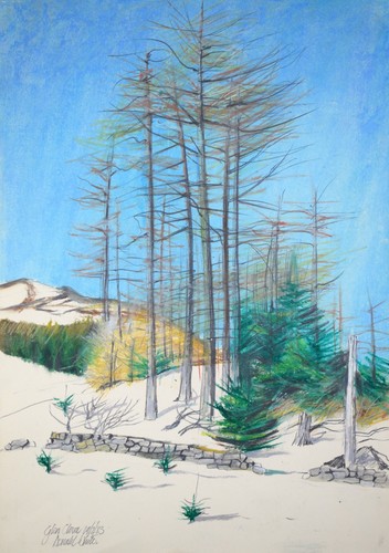 Glen clova angus original - glen, clova,