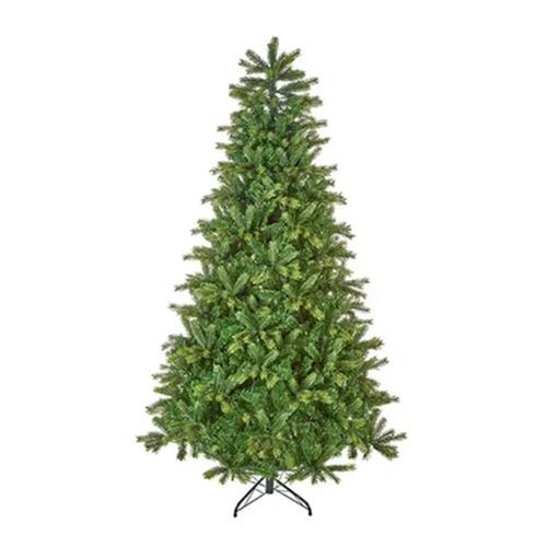 Barneswood spruce tree - 2.4m, /