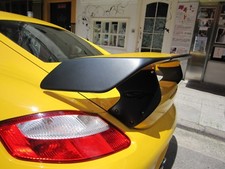 Fiber glass rear - gt,