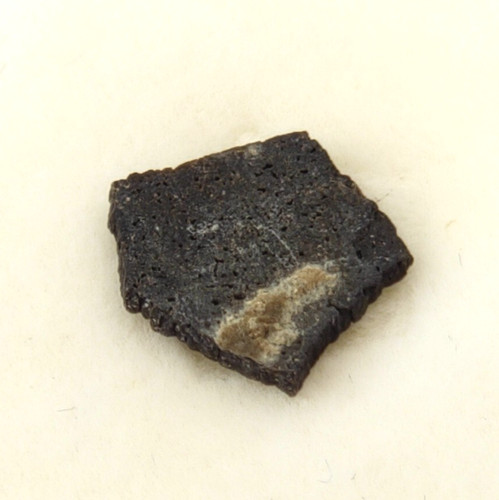 Hadrosaur egg shell fossil - hadrosaur,