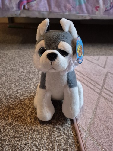 Husky teddy toy - husky,