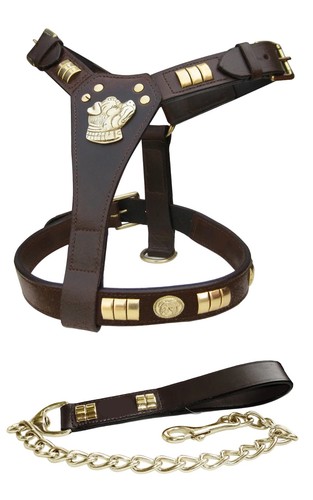 Staffy staffordshire leather - staffy,