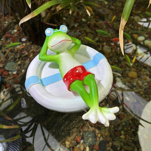 Resin frog sitting swim - frog, on