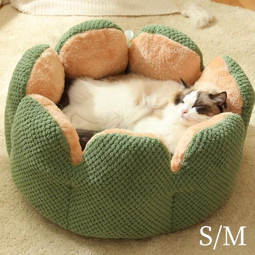 Dog house mats washable - dog,