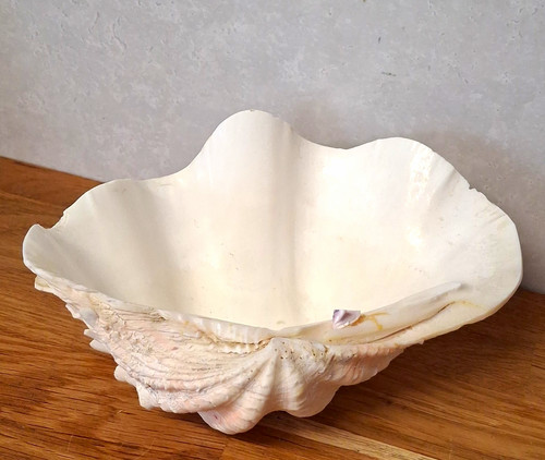 Large vintage natural - 7, in