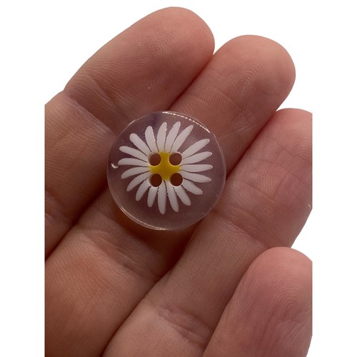 Transparent clear daisy flower - daisy,