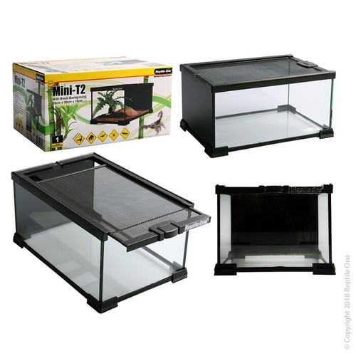 Stackable glass terrarium - glass,