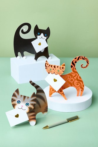 Cat card pack 3 - 3d,