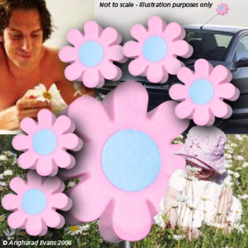 Pack daisy daisies antenna - 12-pack,