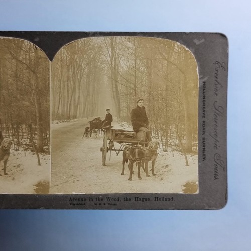 The hague holland - hague, stereoview