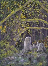 Forest standing stones