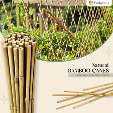 2ft – 6ft Bamboo Canes