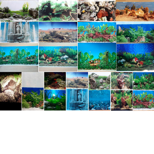 Aquarium film both sides - , back