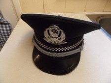 Chinese national police repro