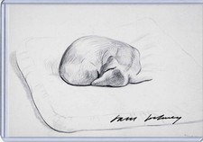 David Hockney signed Postcard