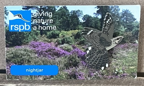 Rspb nightjar pin badge - nightjar,