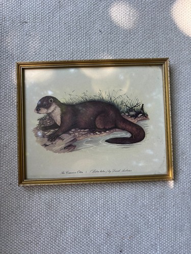 Vintage david andrews the - vintage,