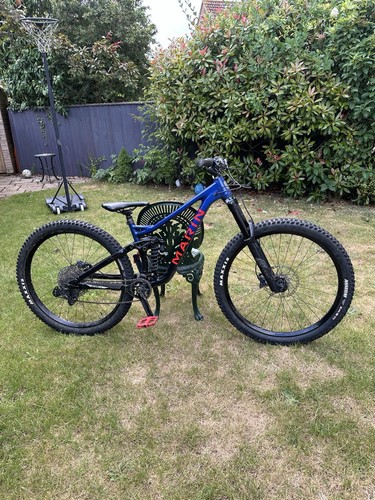 Marin alpine trail 2024 - alpine, xr