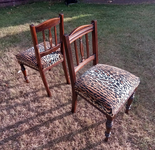 Maple set of 2 dining - of,