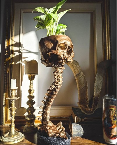 Gothic skull planter with - planter,