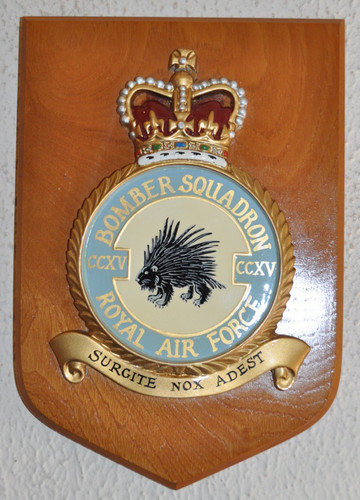 Large 215 bomber squadron - large,