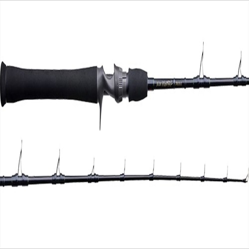 Tenryu baitcasting rod - tenryu,