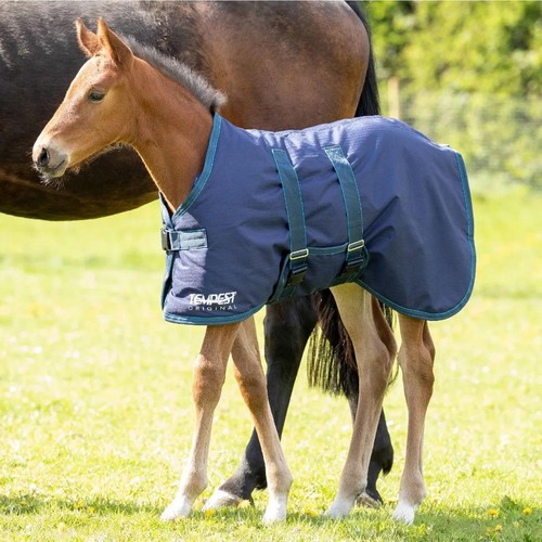 Shires tempest original 200g - tempest,