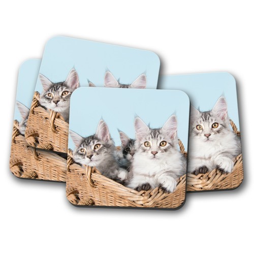 Set cute maine coon - 4,