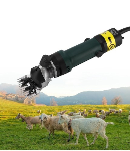 Sheep shears electric - shears,