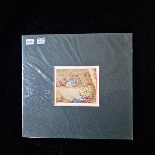 Vintage mounted beatrix potter - mounted,