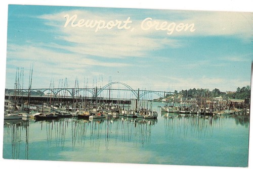 Commercial fishing fleet boats - commercial,