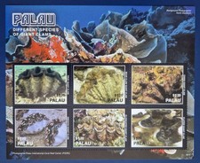 Palau 2016 /  Marine Life -
