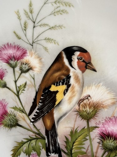 Set cabinet bird - set, of