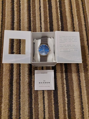 Skagen denmark titanium quartz - skagen,