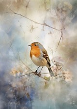Whimsical Encounter: Robin
